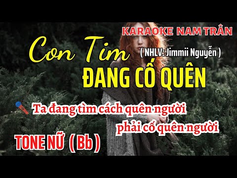 Karaoke Con Tim Đang Cố Quên Tone Nữ | Nam Trân
