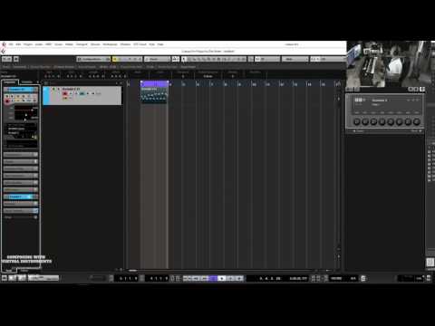 CWVI - Hands on Performance Samples Fluid Shorts