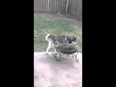 12397331 1004293822966727 1083337405 n