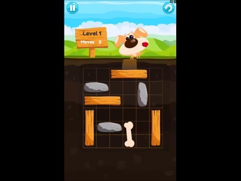 Big Bone - Unblock Puzzle Video