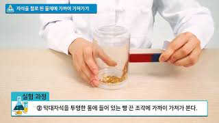 [백점맞는과학]23. 3학년 과학 자석의 이용 자석을 철로 된 물체에 가까이 가져가기 실험