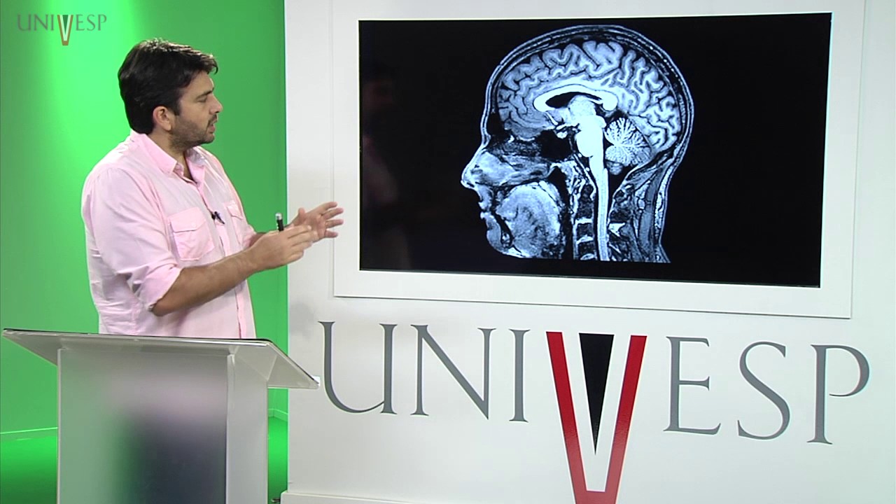 Corpo Humano: Órgãos e Sistemas - Aula 20 - Controle da fome e da saciedade - Controle da digestão