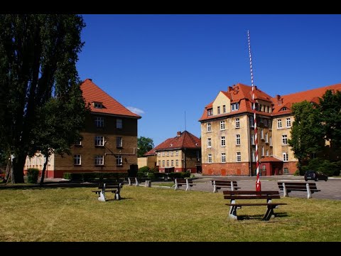 Artekfaktem - ROLNICZAK