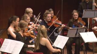 MAX Muziekwijzer Academie: Het brein en muziek door prof. Erik Scherder