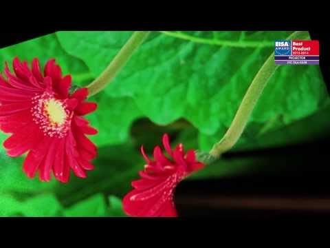 3D видеопроектор JVC DLA-X55R EISA 2013