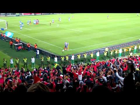 "Ya Vas A Ver Una Banda... Tribuna americana en el #TorneoFoxSportsCol" Barra: Baron Rojo Sur • Club: América de Cáli • País: Colombia