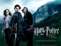 Harry Potter and The Goblet of Fire - This is the ...