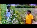 Goundamani Senthil Best Comedy Collection # Tamil Mega Hit Comedy Scenes HD # Tamil Comedy