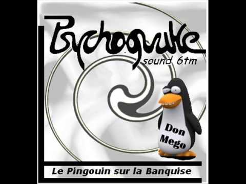 Don Mego (Psychoquake) - Le Pingouin sur la Banquise - Mix Tribe
