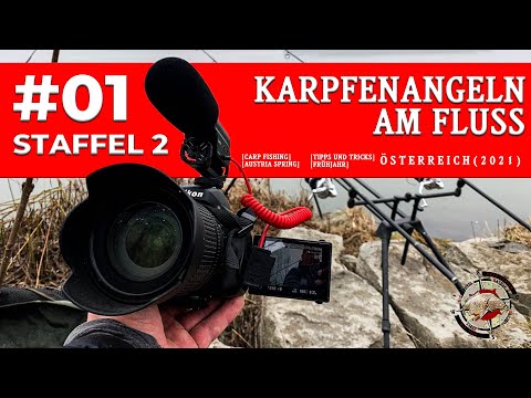 Karpfenangeln am Fluss in Österreich, im Frühjahr direkt nach dem Hochwasser |Tipps, Tricks (2021)