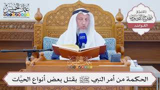 [1283] الحكمة من أمر النبي ﷺ بقتل بعض أنواع الحيَّات - عثمان الخميس
