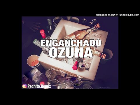 OZUNA ✘ ENGANCHADO ✘ FIESTERO ✘ PECHITO REMIX 🎉