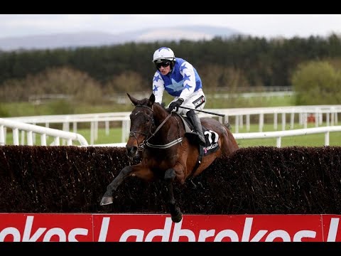 Cadmium - 2018 Punchestown 2m Handicap Chase (Build Up, Race & Reaction)