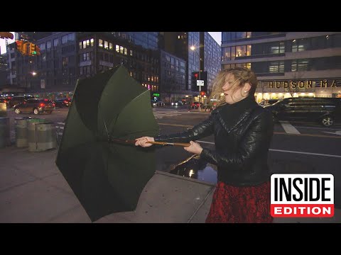 Is This $350 Umbrella Really Indestructible?