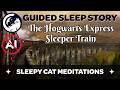 The Hogwarts Express Sleeper Train A Guided Sleep Story Inspired By Harry Potter