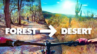 FROM FOREST TO DESERT! | Riding Mt. Lemmon in Tucson, Arizona!