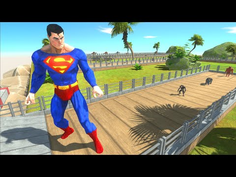 SUPERMAN OASIS DEATH RUN - Animal Revolt Battle Simulator
