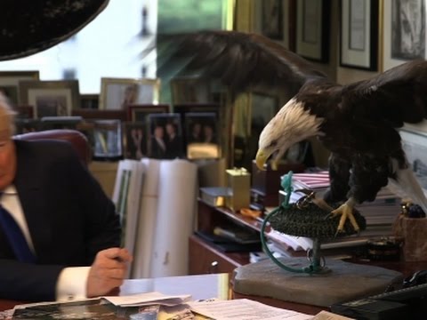 Raw: Bald Eagle Attacks Trump During Photoshoot Raw: Bald Eagle Attacks Trump During Photoshoot