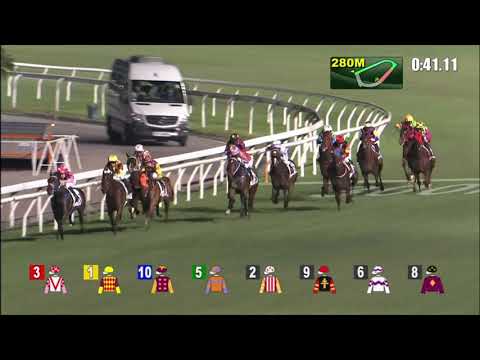 5/5/2021 (645) Harmony Fire - Jerry Chau