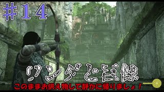 【ゆっくり実況】おるやん『ワンダと巨像』♯１４体目