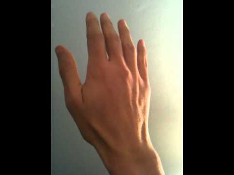 Charlie Darwin Hand Video