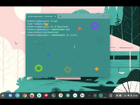 Quick Overview of pwd Linux command on Chrome OS