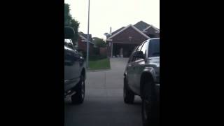 Creepy animal sighting