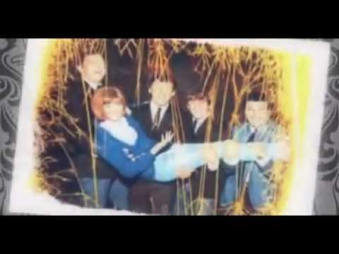 Till You Say Youll Be Mine - The Fourmost