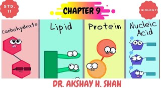 Factors affecting Enzyme activity/STD 11/BIOLOGY/CH 9: BIOMOLECULE
