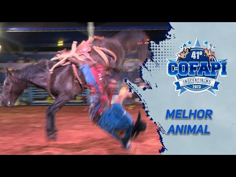 BABADO NOVO (Cia. Zé Ricardo / Breno Remédio) - MELHOR ANIMAL da COFAPI de INOCÊNCIA 2023