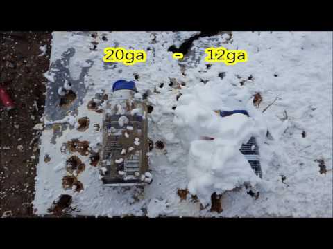 Mossberg SA-20 Tactical Review