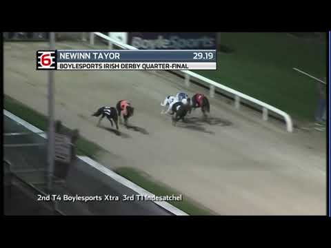 2020 BOYLESPORTS IRISH DERBY - QF 4 - T6 NEWINN TAYLOR
