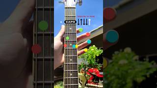 Oasis - Wonderwall #guitar #guitarlessons #guitartutorial