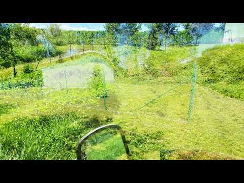 TYM 255 mezinápravové sečení