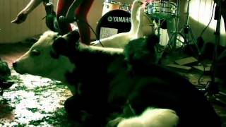 Message Music Video