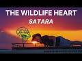 Satara Rest Camp Review In the Kruger National Park Park