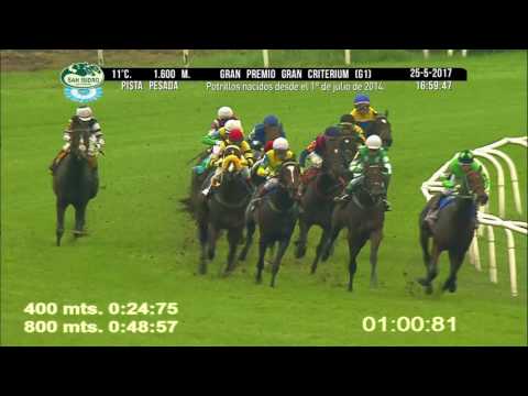 Gran Premio Gran Criterium G 1 2017 - HSI