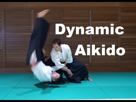 Dynamic Aikido   Shomen uchi Basic and Applied Techniques