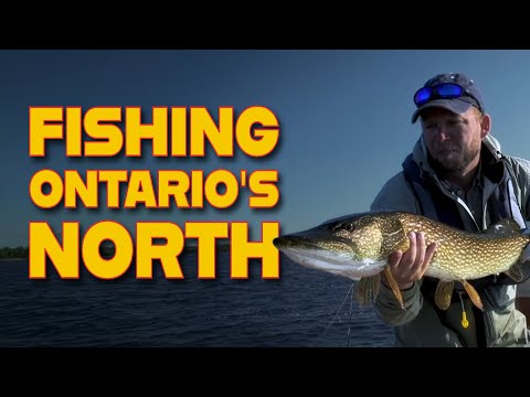 Northern Ontario Perfection! Brace Lake Outfitters. - YouTube