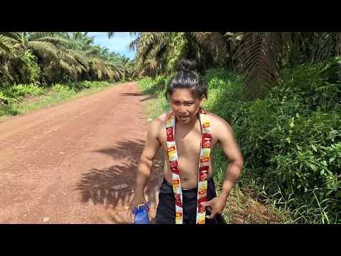 BOMEH IS COME BACK 4 PERKARA WADAI.