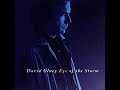 Eye Of The Storm~David Olney