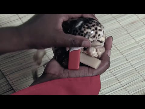 Beyond The Truth African Spirituality