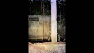 Download lagu Paranormal horro sosok pontianak banglo farra mp3 Download lagu Paranormal horro sosok pontianak banglo farra mp3