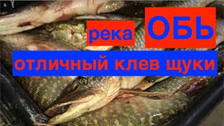 Рыбалка в каменном на оби