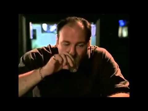 Minark Pussy Is Suspected To Be A Rat