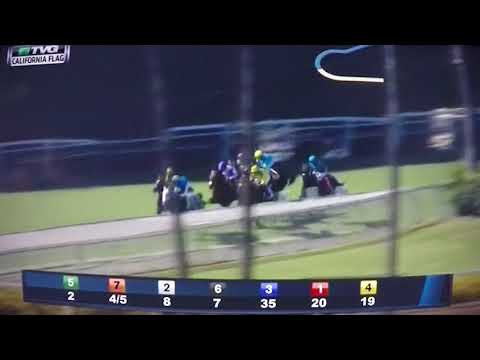 CALIFORNIA FLAG (G STAKES)$100,000 2017 - B SQUARD !!