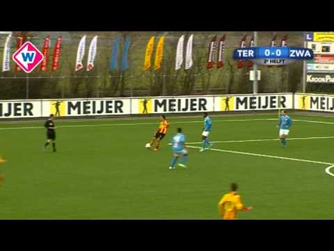 Samenvatting Ter Leede - Zwaluwen