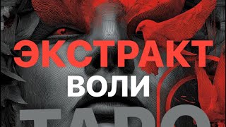 🌳СИЛА В ИЗГНАНИИ🌳 #магическиевойны #тарораклад