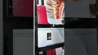 Same Image, Different Colors? Check the Curve Settings