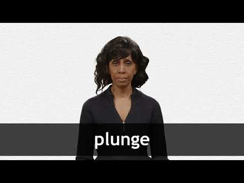 PLUNGE definition in American English